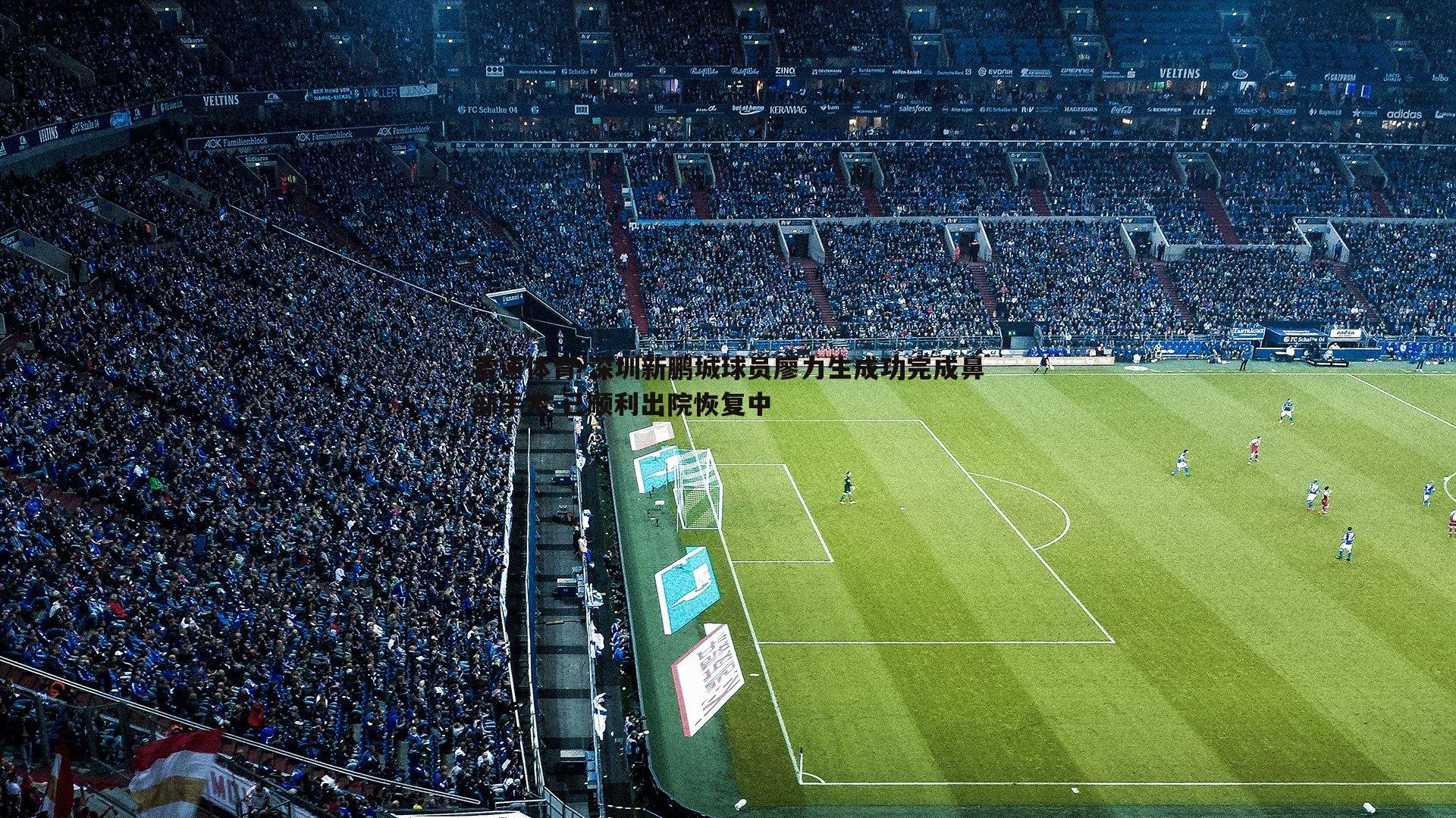 雷速体育-深圳新鹏城球员廖力生成功完成鼻部手术 已顺利出院恢复中